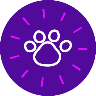 The Growing Purplepaw