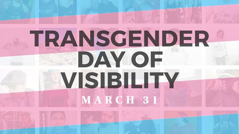 Beyond Visibility: Transgender Makes the World a Better Place