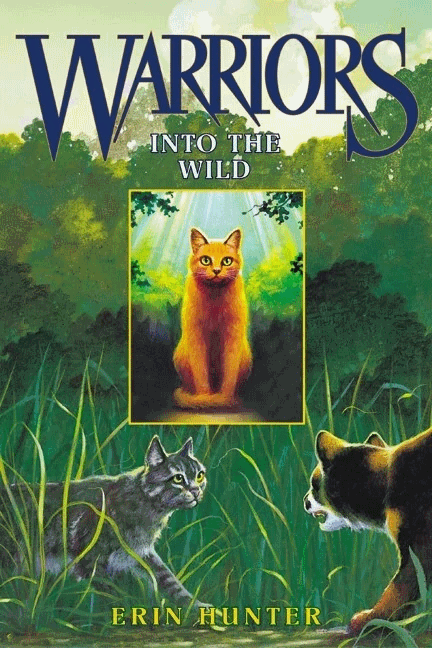 Feral Cats Make Me a Better Woman