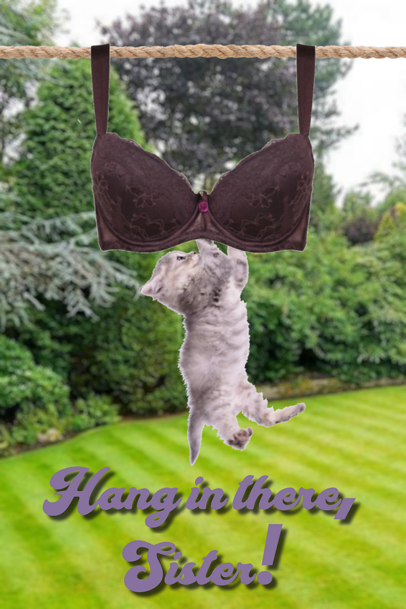 The Ineluctable Wisdom of Cat Posters