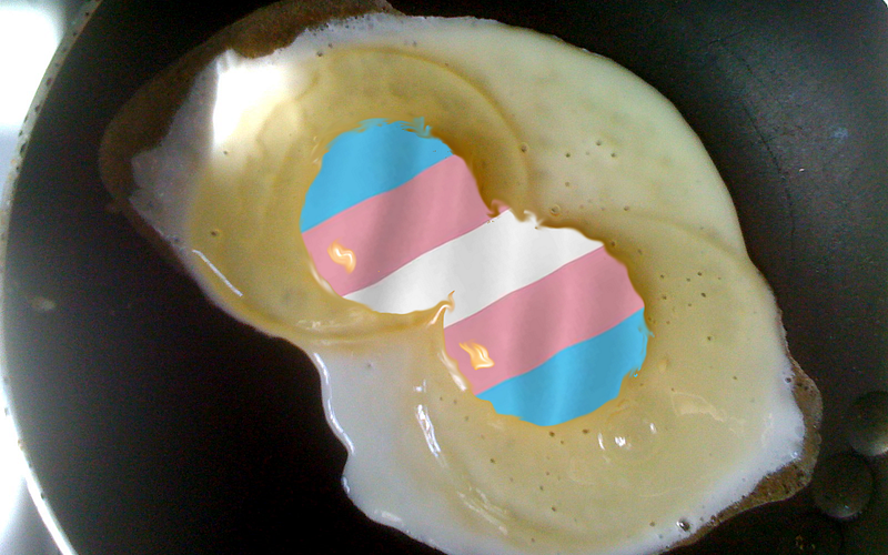 The Transgender Brain: Its Development and Operation